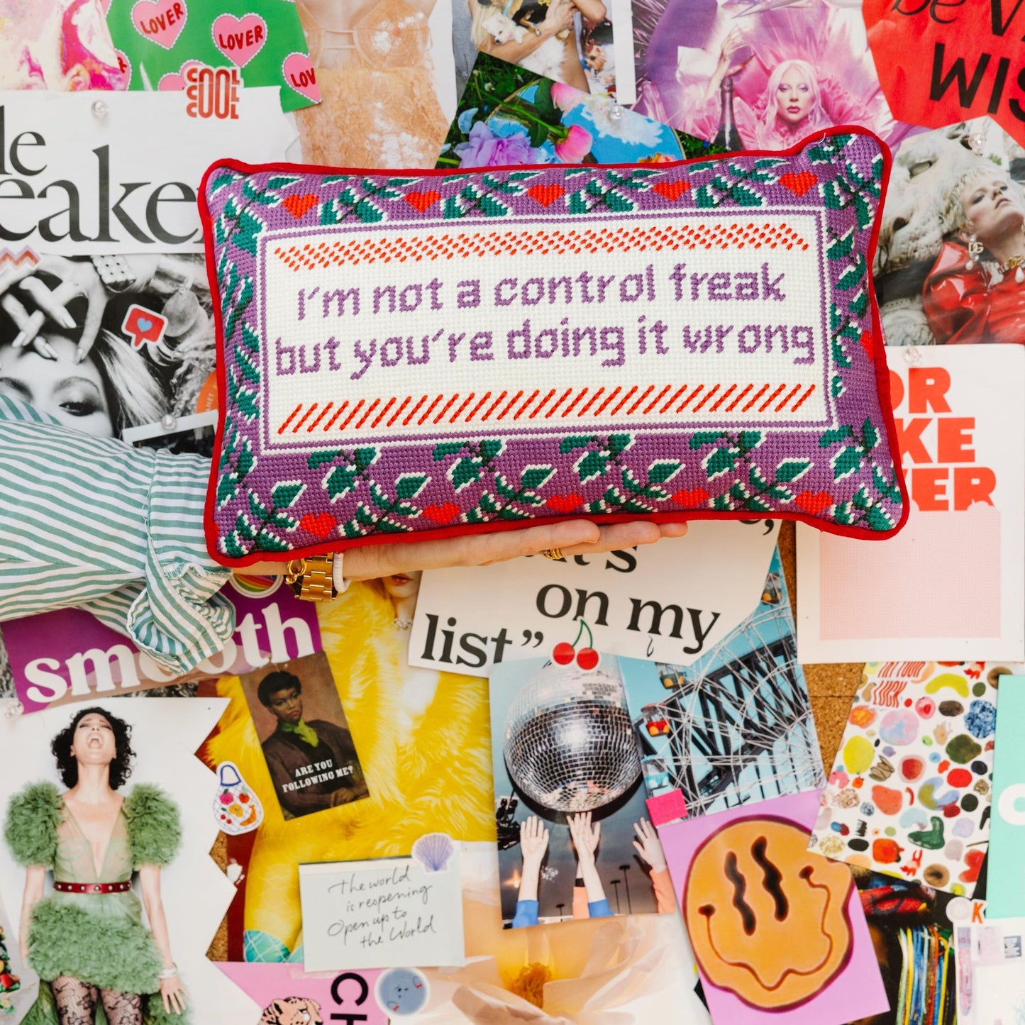 Control Freak Needlepoint Pillow
