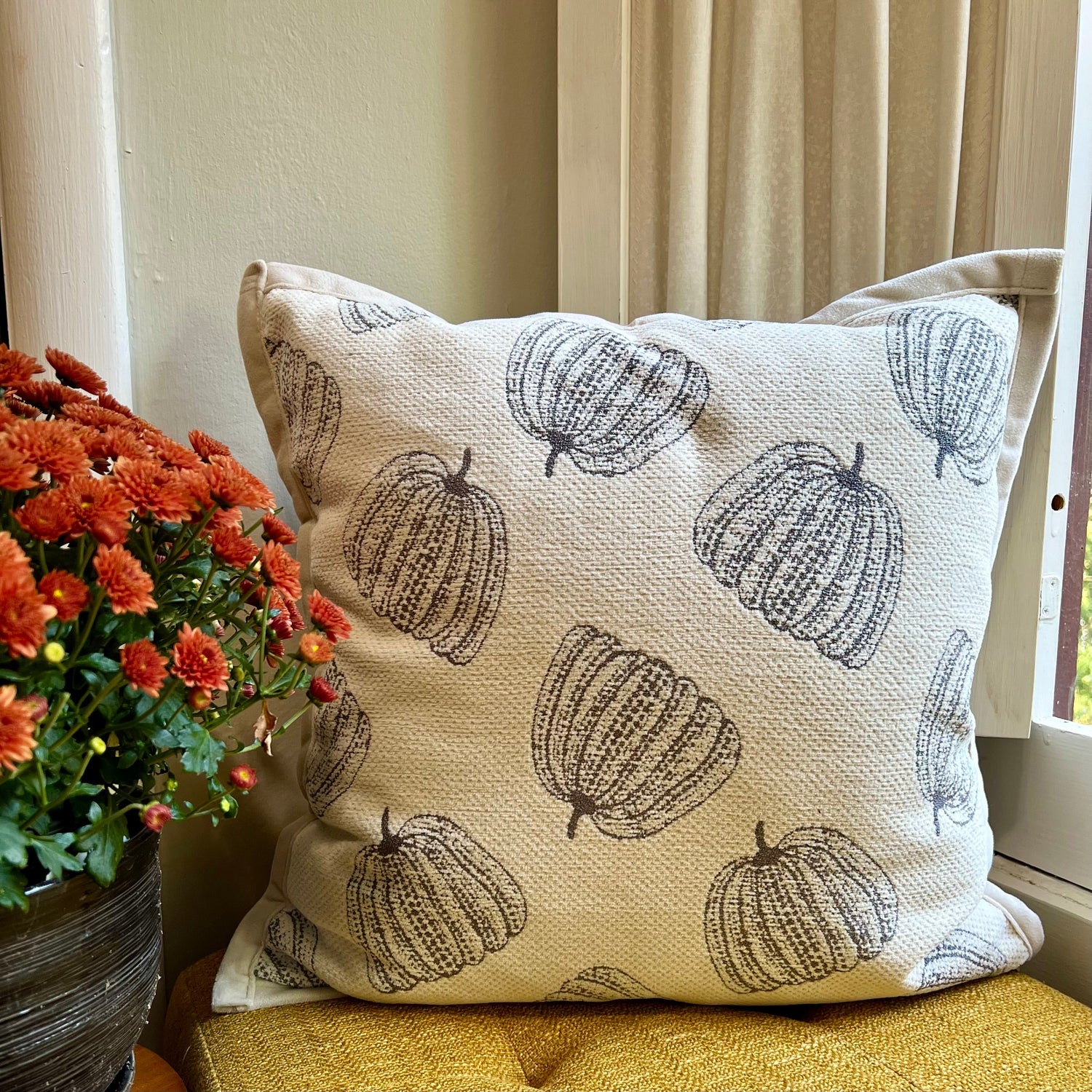 Chenille Charcoal Pumpkin Pillow Cover