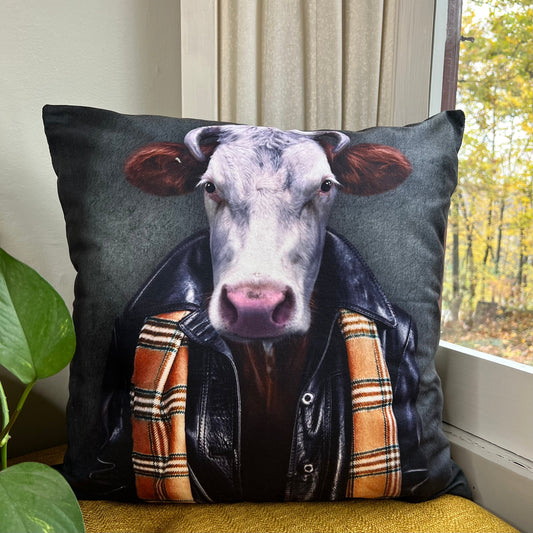 Cool Cow Pillow Cover