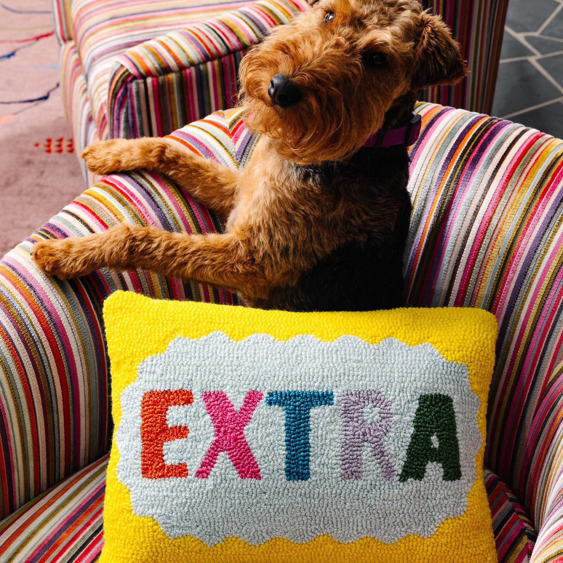 Extra Needlepoint Pillow