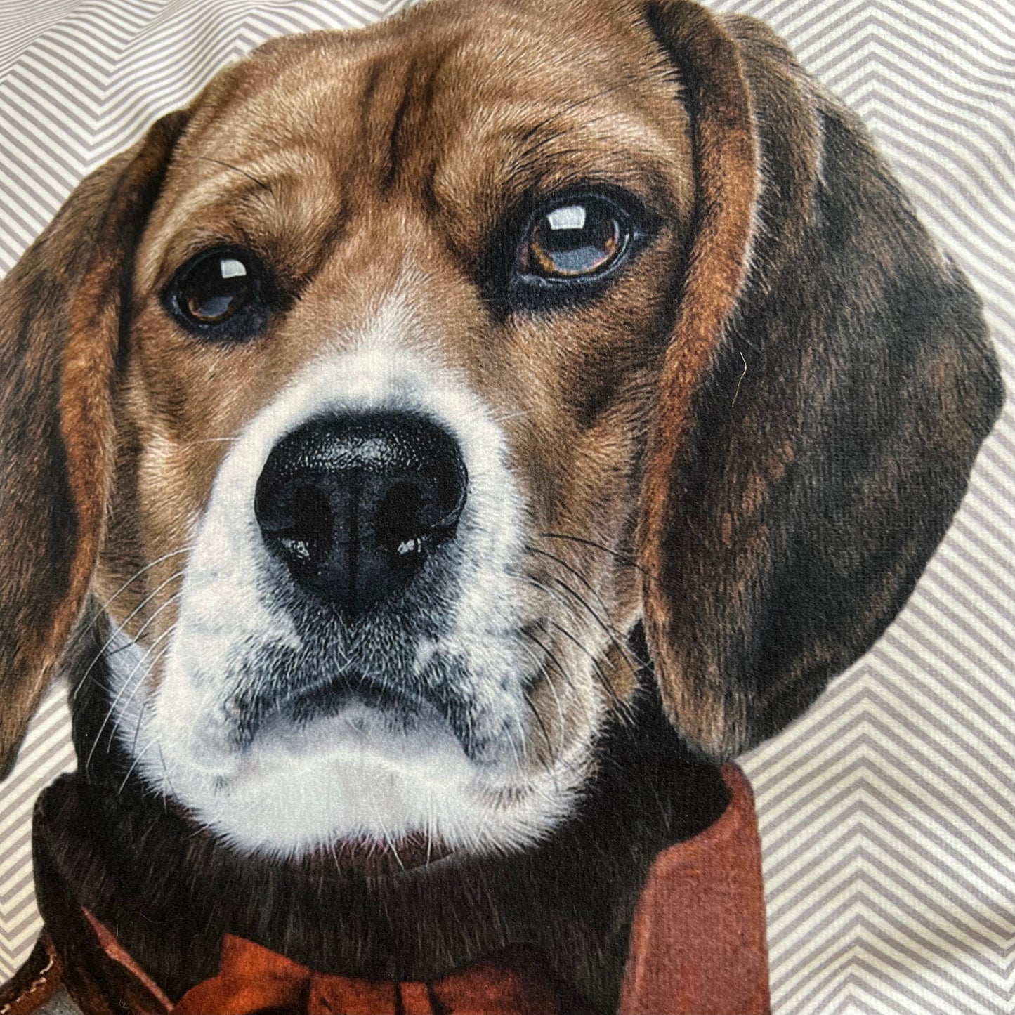 Regal Beagle Pillow Cover