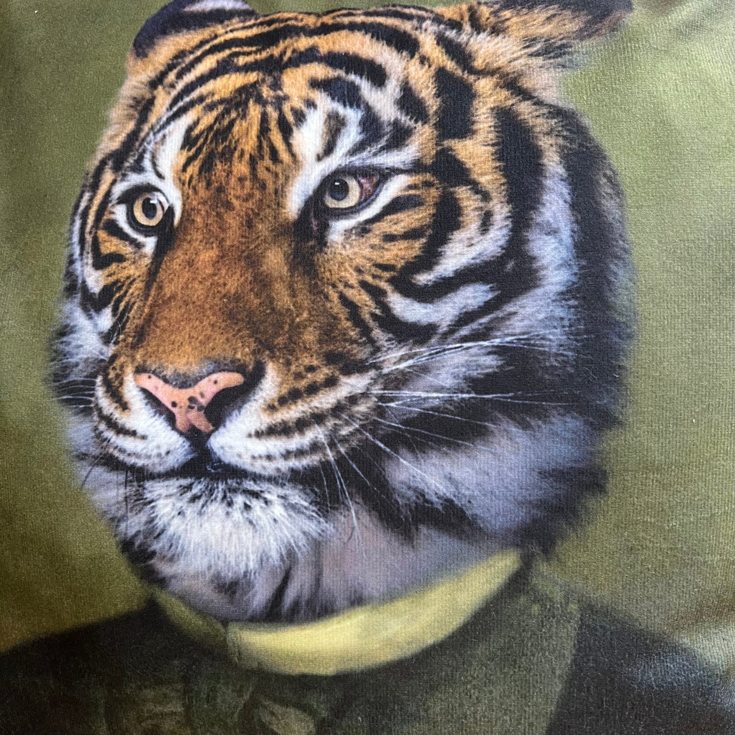 Tasteful Tiger Pillow Cover